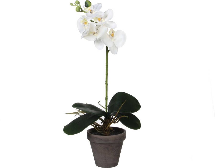 Merkloos Sans marque Kunstplant Orchidee Phalaenopsis Wit H 48cm Keramiek sierpot Mica Decorations