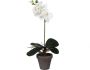 Merkloos Sans marque Kunstplant Orchidee Phalaenopsis Wit H 48cm Keramiek sierpot Mica Decorations - Thumbnail 1