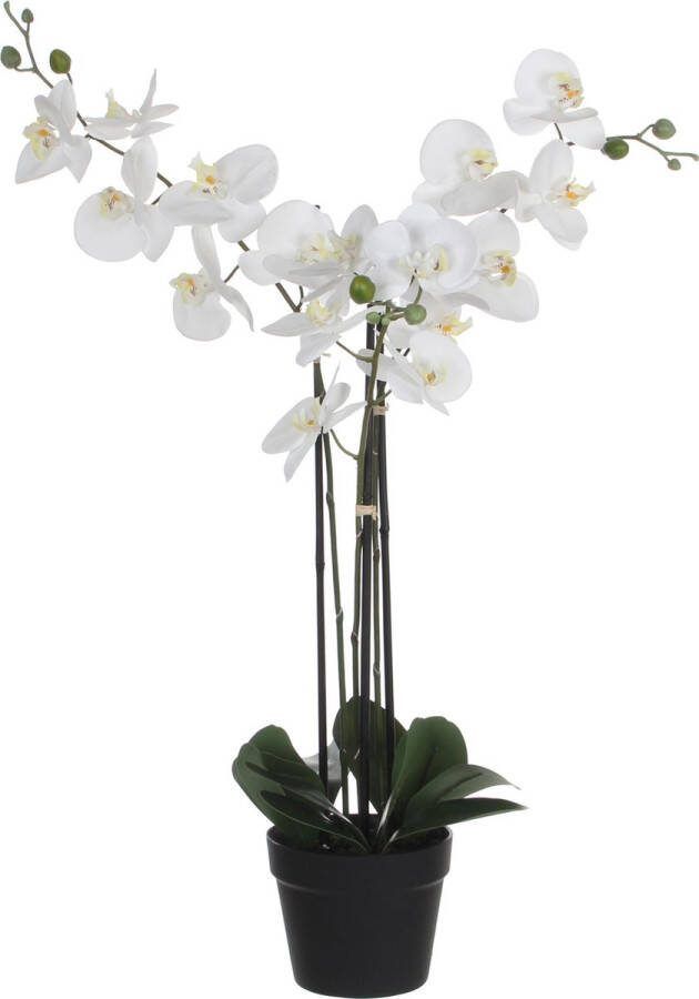 Mica Decorations Orchidee bloem kunstplant wit H75 x B50 cm Kunstplanten