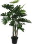 Mica Decorations Philodendron In Plastic Pot Maat In Cm: 95 X 70 Groen - Thumbnail 1