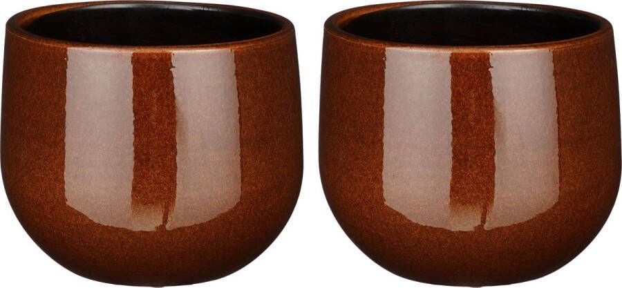 Mica Decorations Plantenpot bloempot 2x stuks keramiek terra bruin glans spotted- D16 H14 cm
