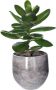 Mica Decorations Plantenpot bloempot terracotta antraciet D33 x H31 cm binnen - Thumbnail 1