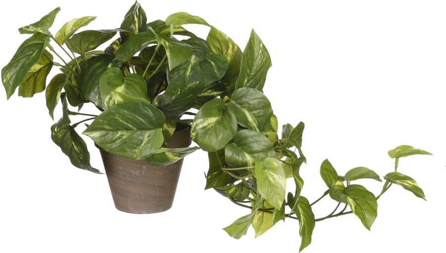 Mica Decorations Pothos Kunstplant 17x17x44 Cm Groen