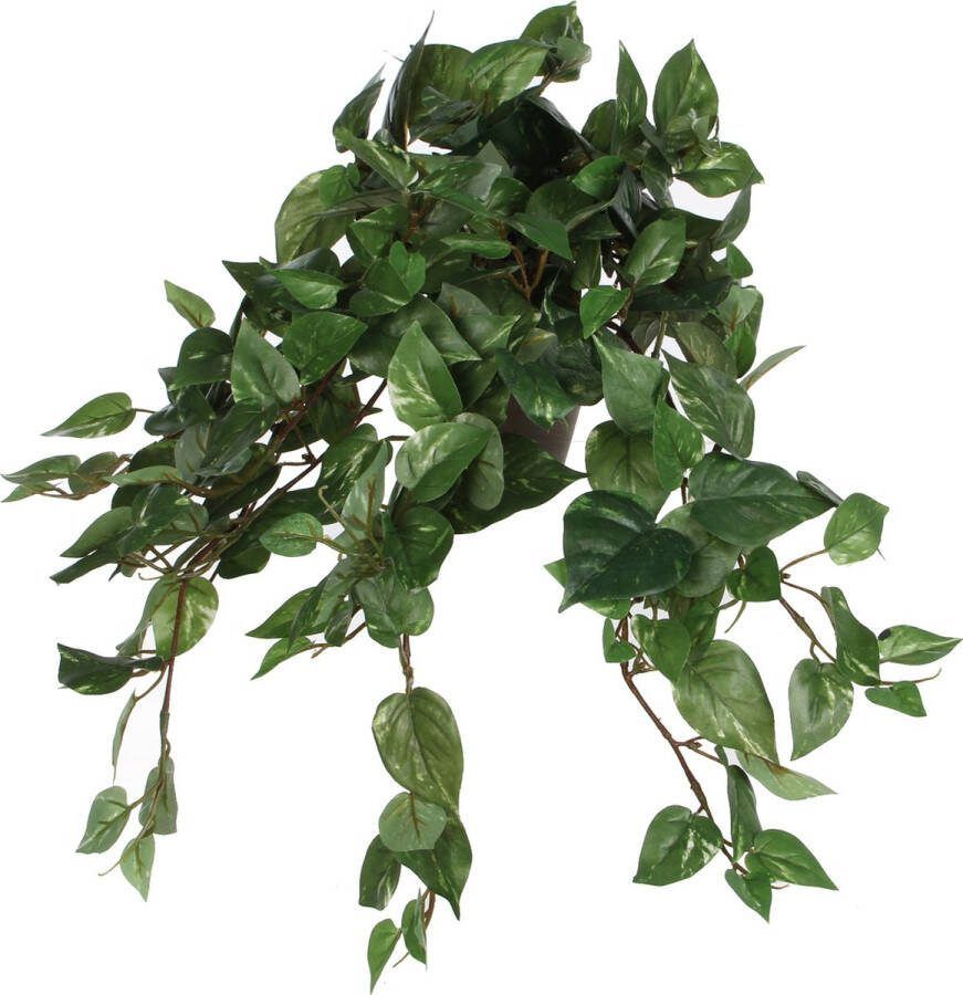 Mica Decorations Scindapsus Drakenklimop kunstplant groen L45 x B25 x H25 cm hangplant Kunstplanten