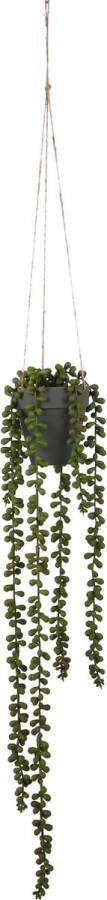 Mica Decorations Senecio Kunst Hangplant H56 x Ø9 cm Groen
