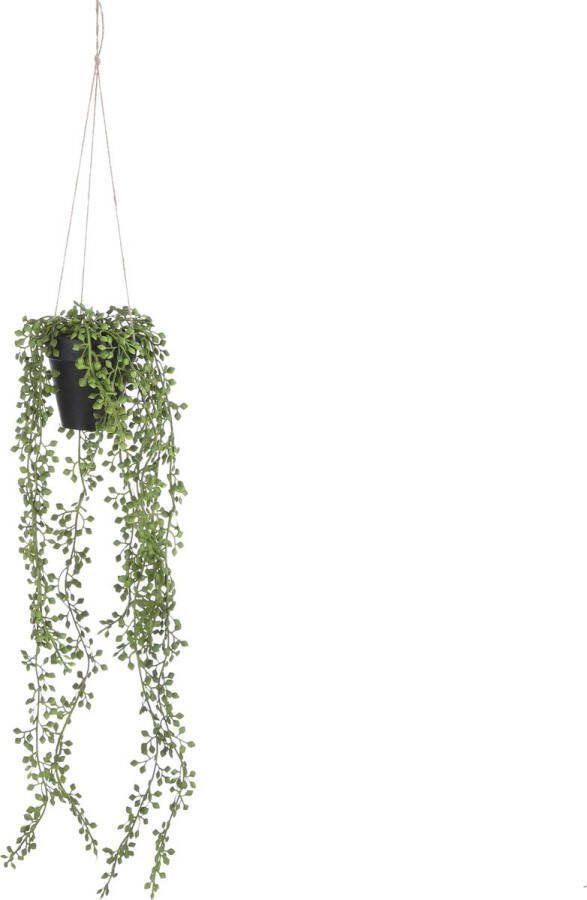 Mica Decorations Senecio Kunst Hangplant in Pot H68 x Ø9 cm Groen