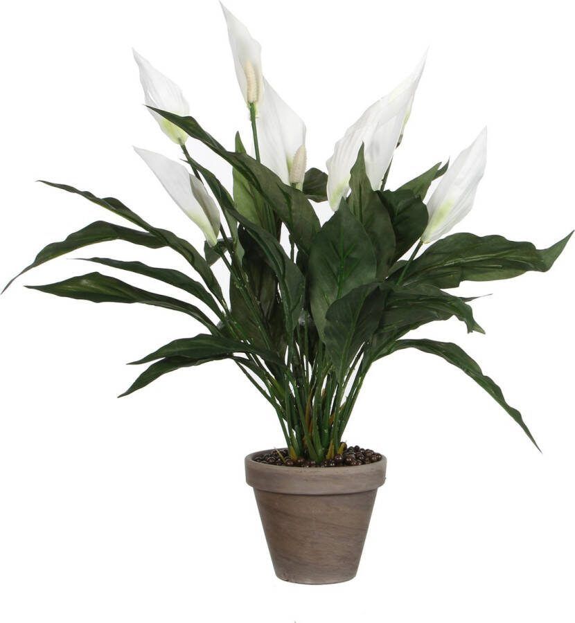 Mica Decorations Spathiphyllum Kunstplant in Bloempot Stan H50 x Ø40 cm Wit