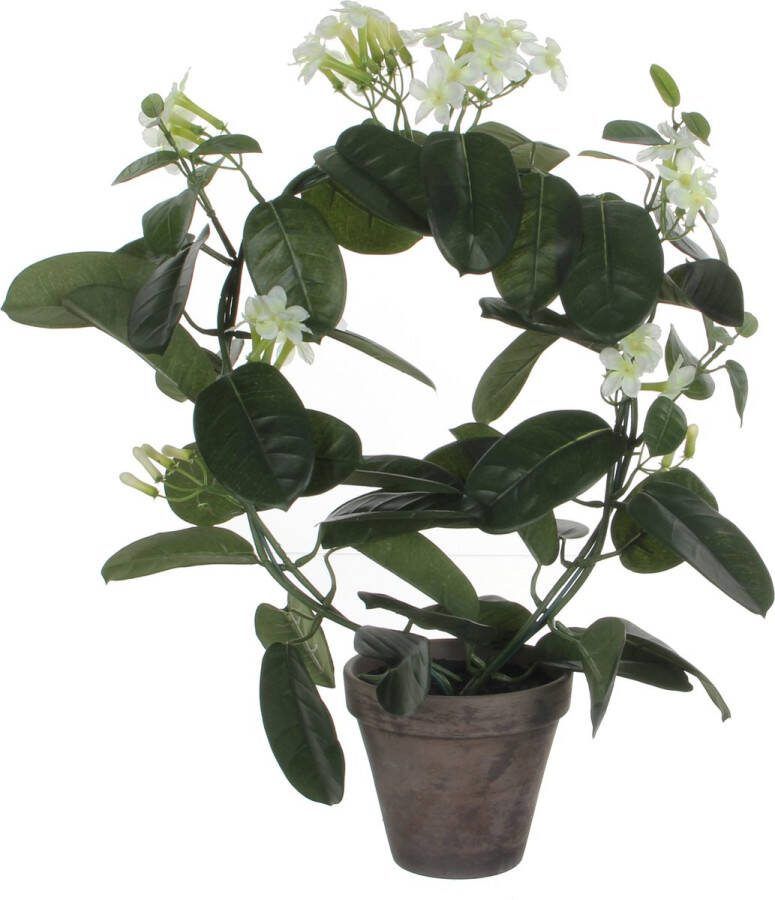Mica Decorations Stephanotis Bruidsbloem Kunstplant kamerplant Wit In Grijze Sierpot H50 Cm X D40 Cm Kunstplanten