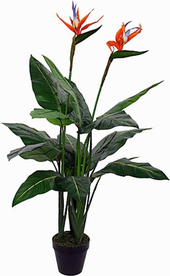 Mica Decorations Strelitzia In Pot Maat In Cm: 110 X 75 Groen
