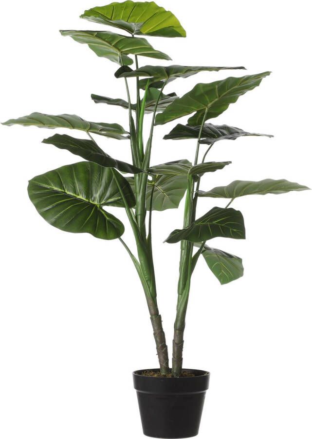 Mica Decorations Taro Kunstplant H100 x Ø70 cm Plastic pot Groen