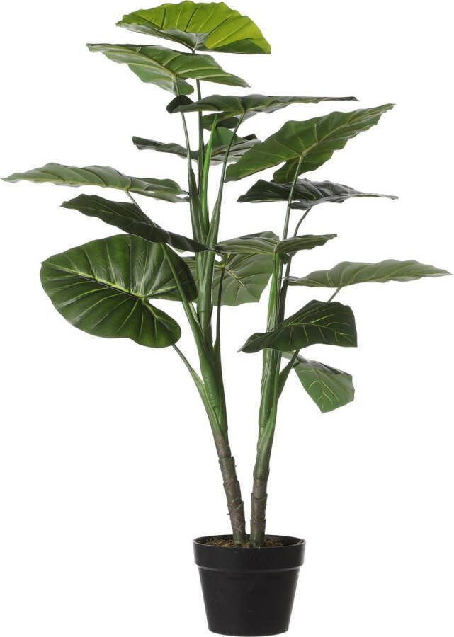 Mica Decorations Taro Kunstplant H100 x Ø70 cm Groen