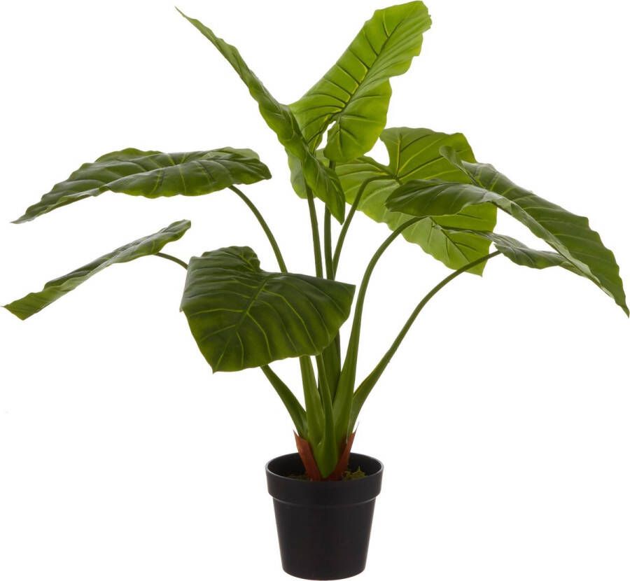 Mica Decorations Groene kunstplant Colocasia Taro succulent plant in pot 100 cm Kunstplanten