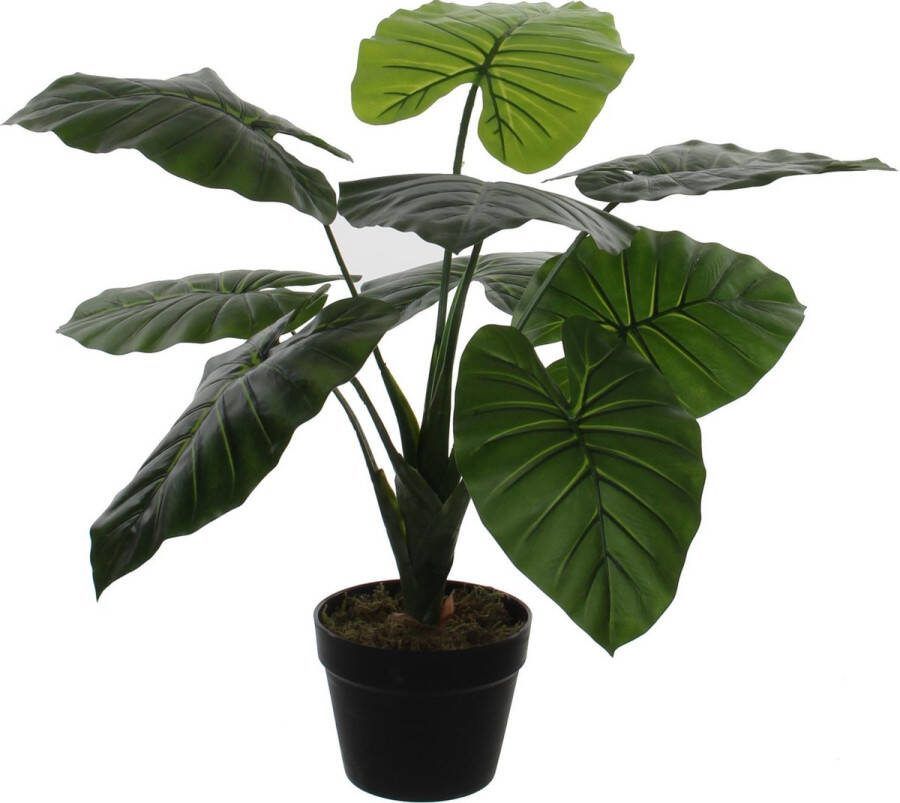 Mica Decorations Groene kunstplant Colocasia Taro succulent plant in pot 90 cm Kunstplanten