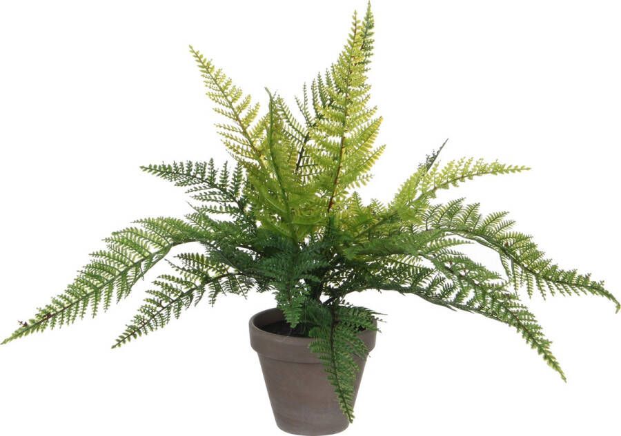 Mica Decorations Varen kunstplant kamerplant groen H40 cm x D36 cm Kunstplanten nepplanten