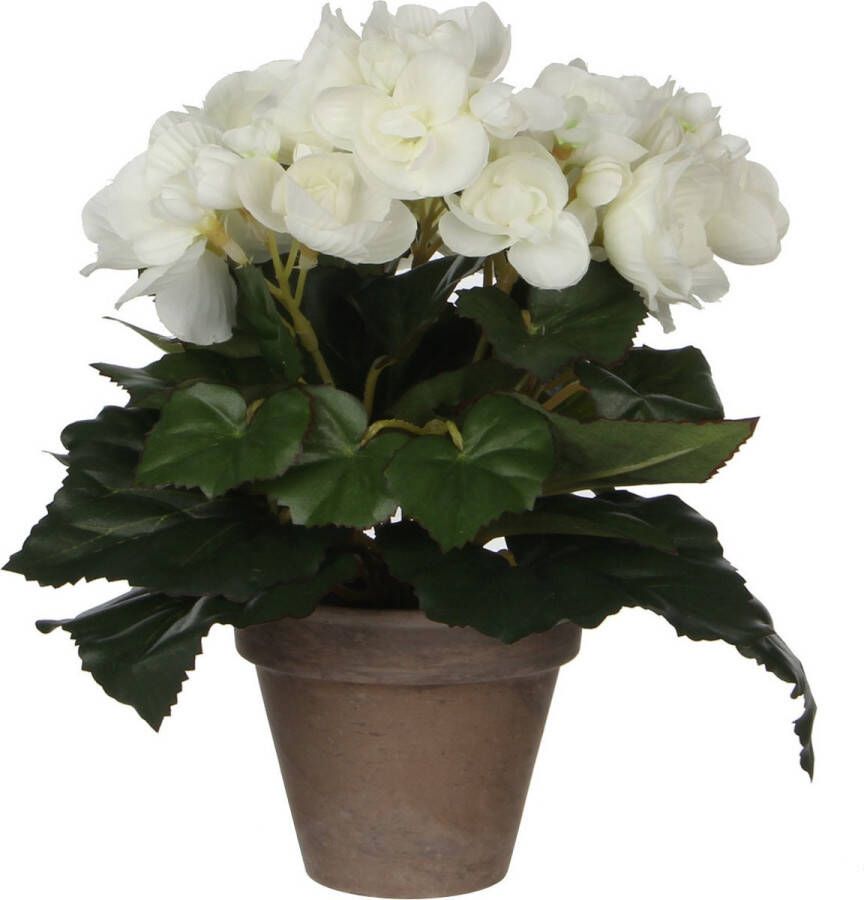 Mica Decorations Witte Begonia kunstplant met bloemen 25 cm in grijze pot Kunstplanten nepplanten Voor binnen