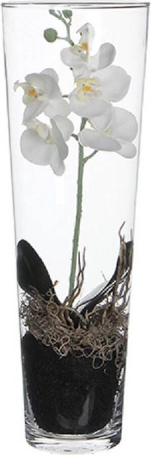Mica Decorations Witte Orchidee Phalaenopsis kunstplant in vaas 50 cm voor binnen Kunstplanten nepplanten binnenplanten