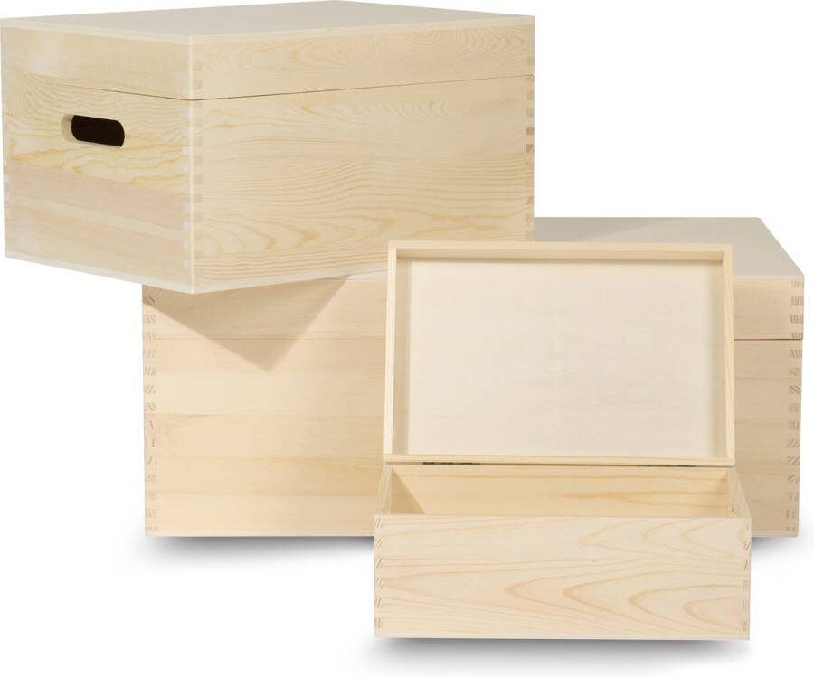 Mikki Joan Houten kisten combinatie houten kist met deksel 60x40x24 40x30x23 30x20x14cm houten opbergkist speelgoedkist handvatten documenten speelgoed herinneringenbox herinneringenkist houten box Top kwaliteit