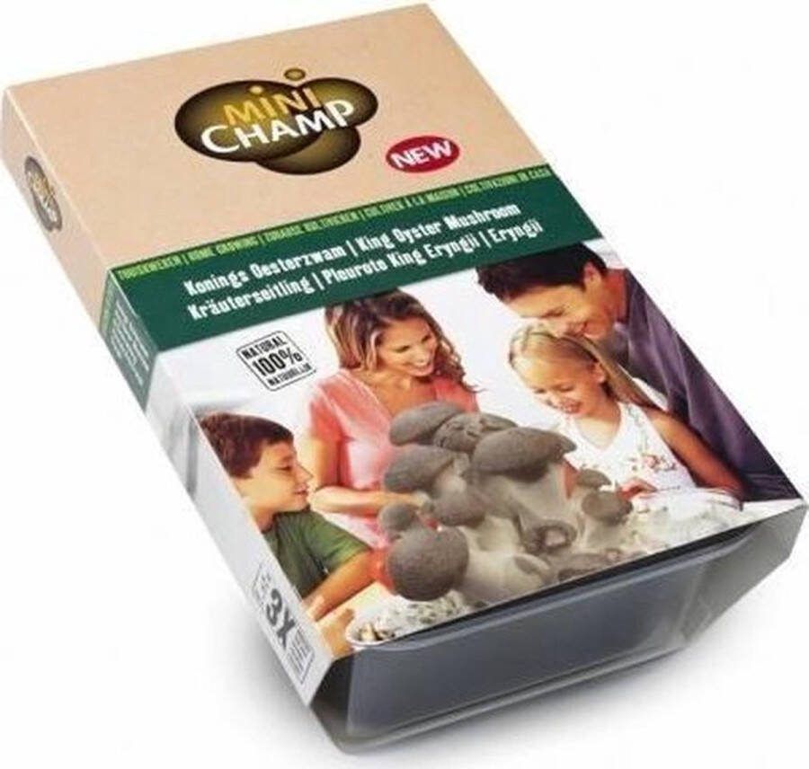 MiniChamp Kweekset -Koningsoesterzwam 3 l keuken kweekbak met deksel champignon sinterklaas