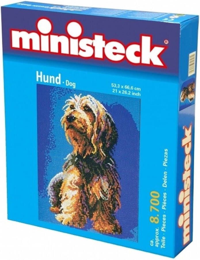 Ministeck : Hond