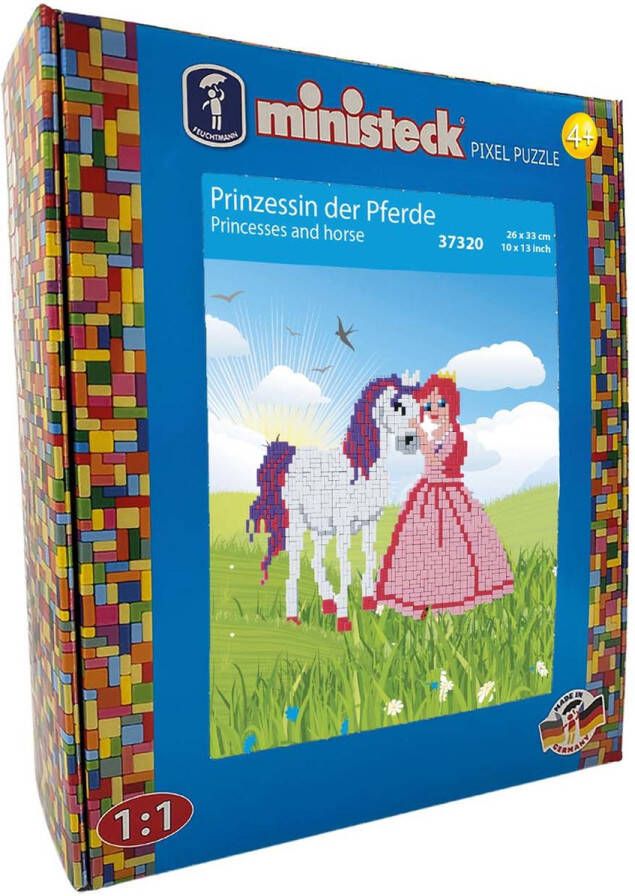Ministeck Princesses and Horse XL Box 1200pcs