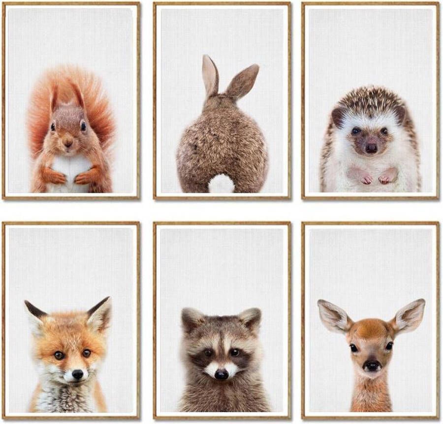 Misk Products Baby Dieren Prints | Kinderkamer Decoratie | Kleine Dieren Foto's | Safari Posters | 6 Stuks | A4 Formaat | Babykamer | Kinderposters | Wanddecoratie | Kinderkamer Decoratie Jongens | Kinderkamer Decoratie Meisjes