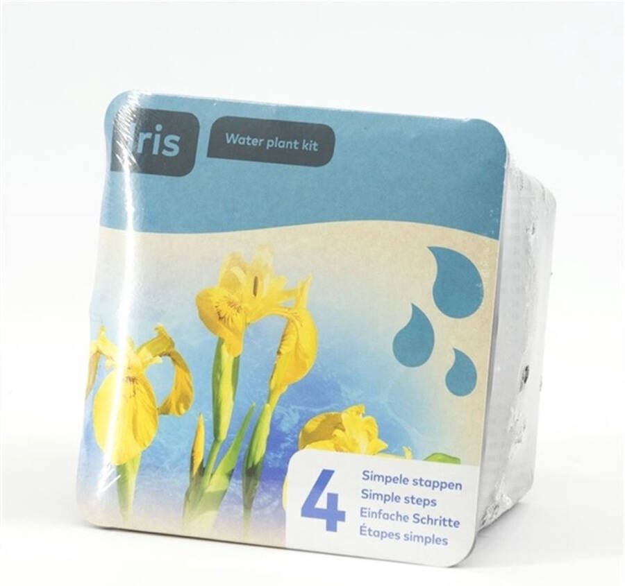 Moerings Droogverpakking vijverplant gele iris