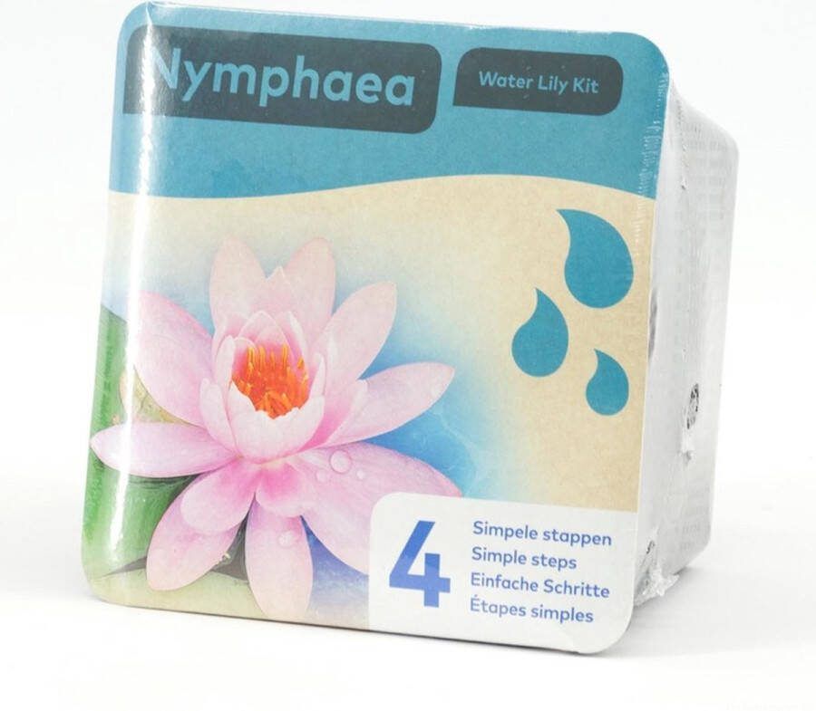 Moerings Droogverpakking vijverplant Nymphaea waterlelie Roze