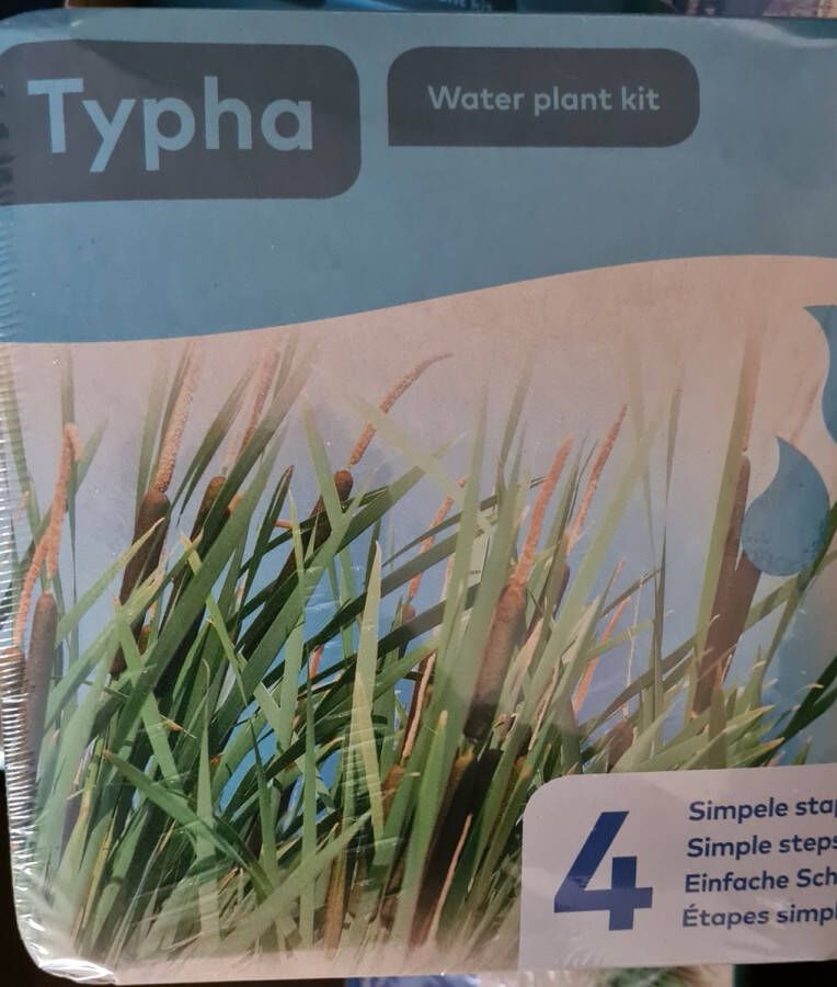 Moerings Droogverpakking vijverplant Typha