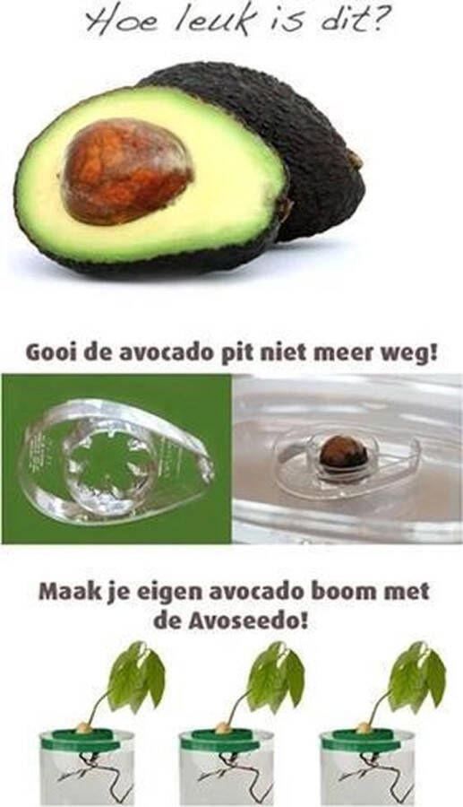 MoetIkHebben AvoSeedo Kweekpot