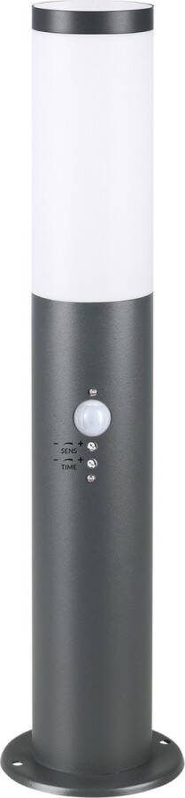 DBA Padverlichting Staande Buitenlamp Tuinverlichting RVS Met Sensor -48 x 12 cm Antraciet