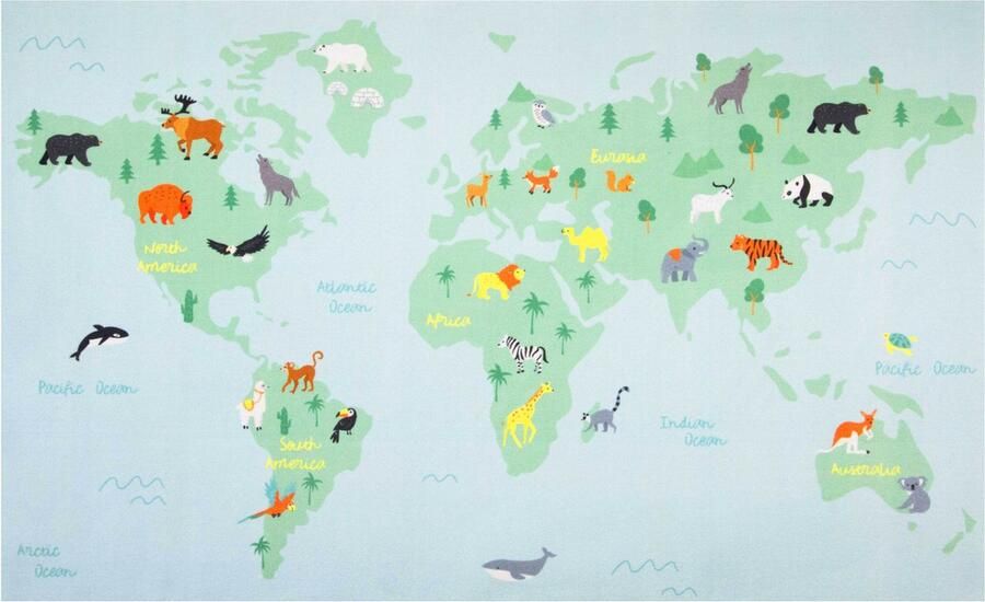 Mood Collection Mood World Map 120x200cm Vloerkleed en Speelmat RWOMAGA01120200T03