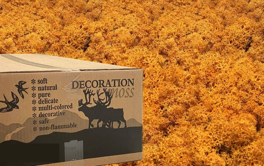 MosBiz Rendiermos oranje 3 kilo voor decoraties schilderijen en mos wanden