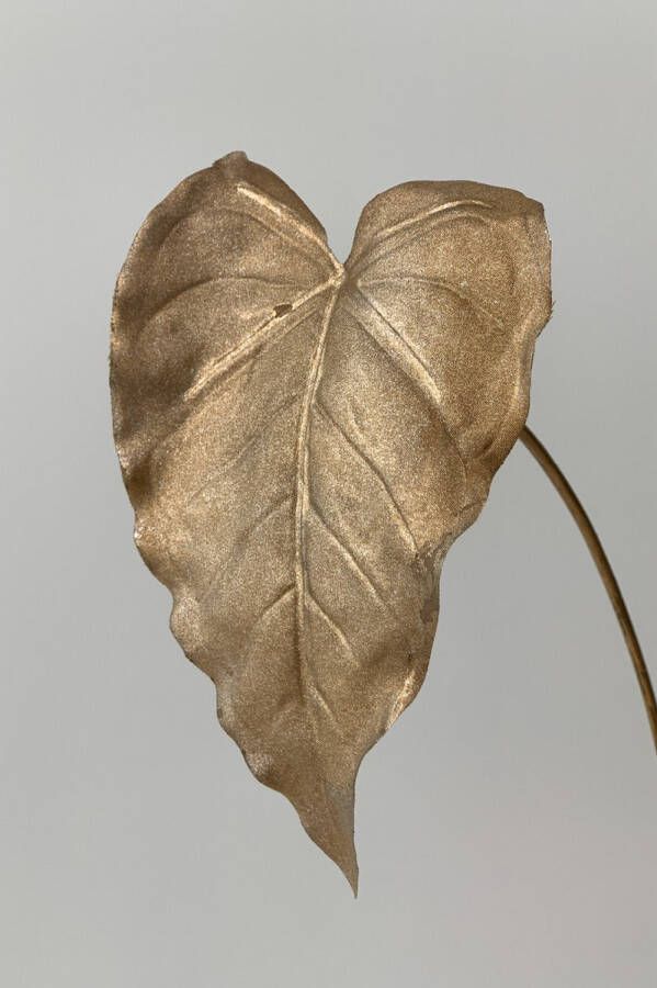 Myflowers b.v. Zijden kunstbloem Anthurium Blad Goud Lengte 50 centimeter