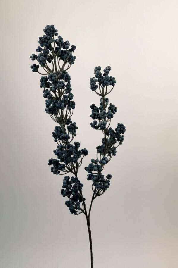 Myflowers b.v. Zijden kunstbloem Bessentak Blauw Lengte 70 centimeter