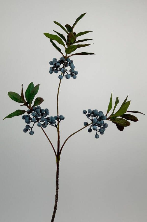 Myflowers b.v. Zijden kunstbloem Bessentak Blauw Lengte 84 centimeter