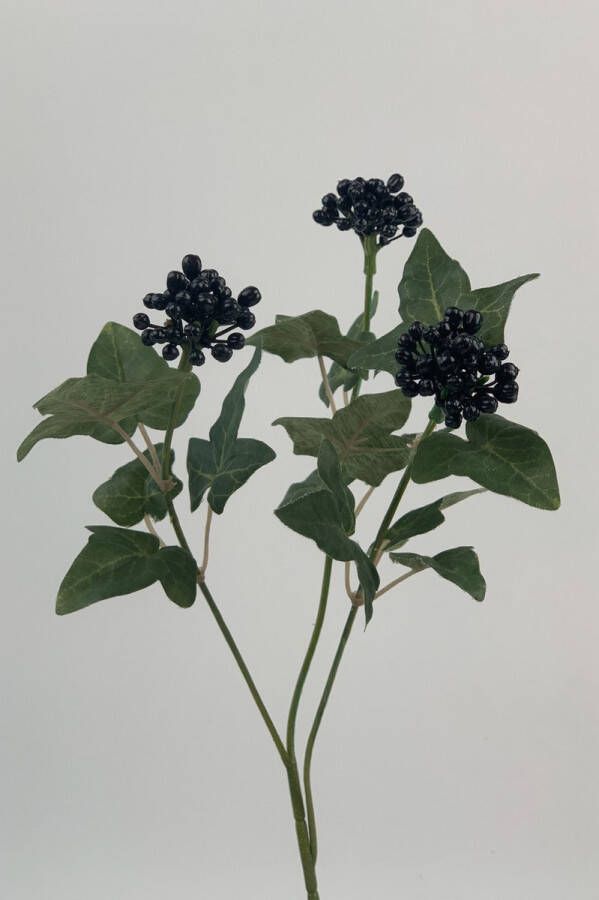 Myflowers b.v. Zijden kunstbloem Bessentak Zwart Lengte 32 centimeter
