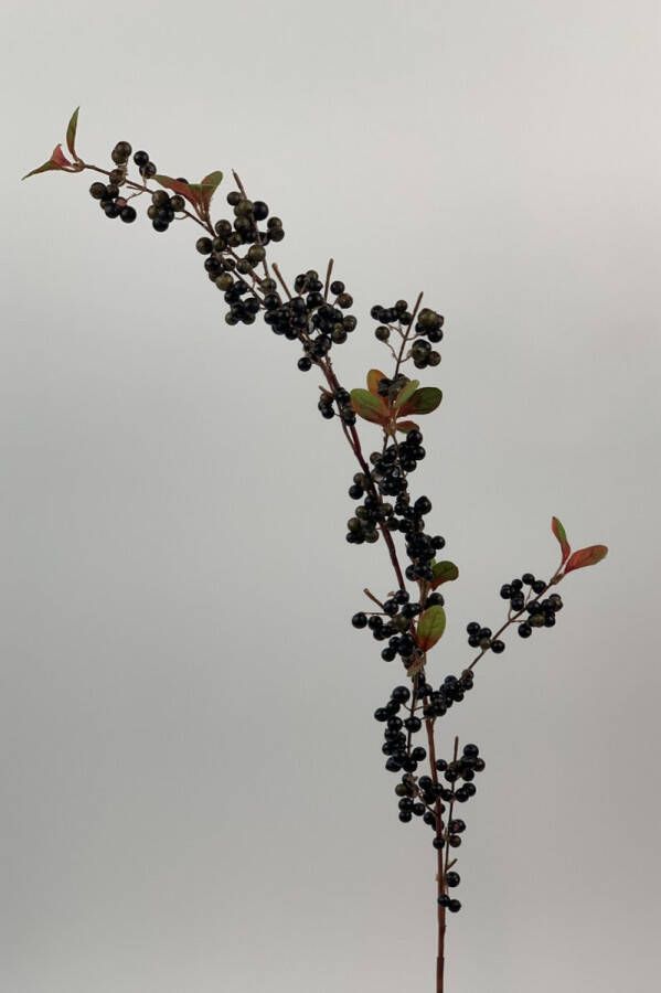 Myflowers b.v. Zijden kunstbloem Bessentak Zwart Lengte 75 centimeter