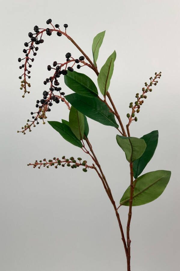 Myflowers b.v. Zijden kunstbloem Bessentak Zwart Lengte 96 centimeter