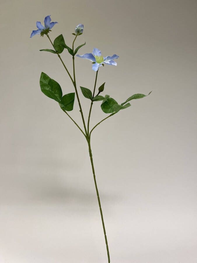 Myflowers b.v. Zijden kunstbloem Clematis Blauw Lengte 72 centimeter