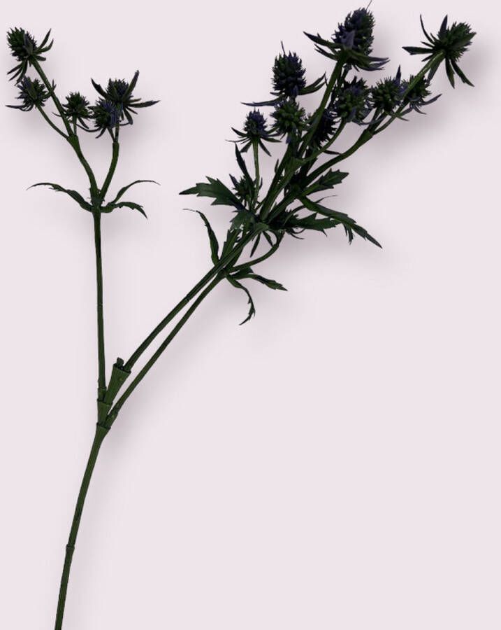 Myflowers b.v. Zijden kunstbloem Distel Blauw Lengte 64 centimeter