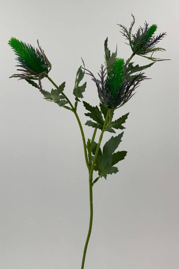 Myflowers b.v. Zijden kunstbloem Distel Blauw Lengte 65 centimeter