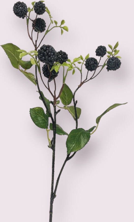 Myflowers b.v. Zijden kunstbloem Frambozentak Zwart Lengte 63 centimeter