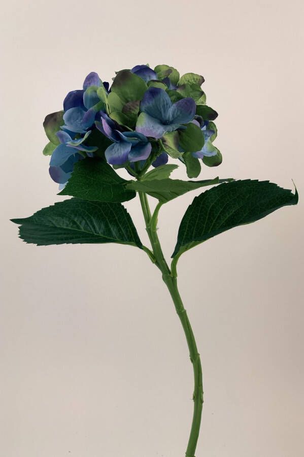 Myflowers b.v. Zijden kunstbloem Hortensia Blauw Lengte 54 centimeter