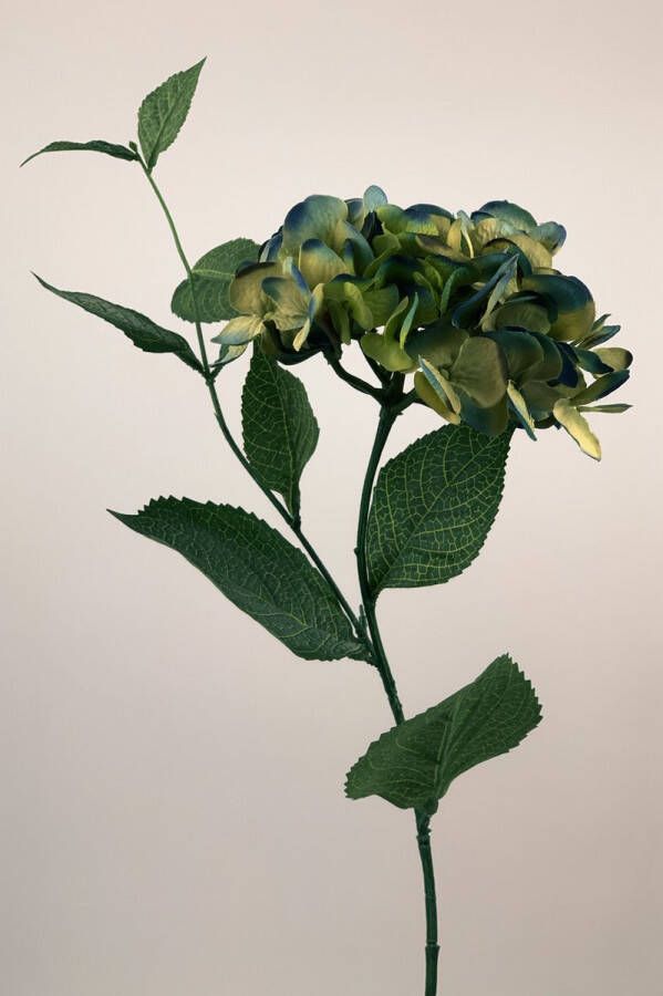 Myflowers b.v. Zijden kunstbloem Hortensia Blauw Lengte 83 centimeter