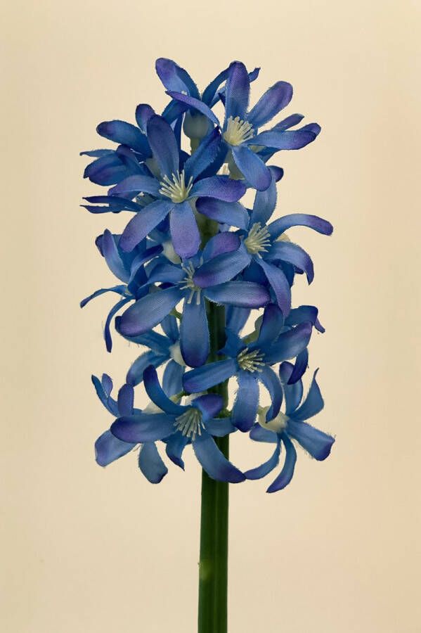 Myflowers b.v. Zijden kunstbloem Hyacint Blauw Lengte 27 centimeter