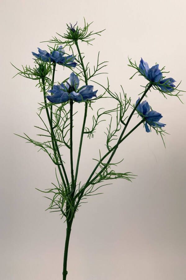 Myflowers b.v. Zijden kunstbloem Juffertje In 'T Groen Blauw Lengte 66 centimeter