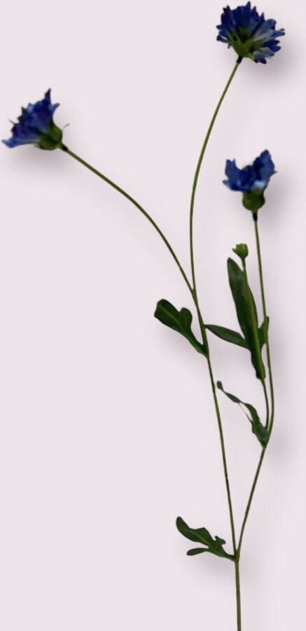 Myflowers b.v. Zijden kunstbloem Korenbloem Blauw Lengte 59 centimeter