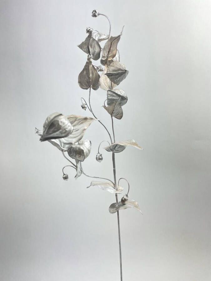 Myflowers b.v. Zijden kunstbloem Lampionnentak Zilver Lengte 65 centimeter