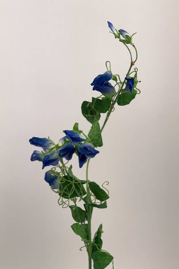 Myflowers b.v. Zijden kunstbloem Lathyrus Blauw Lengte 45 centimeter