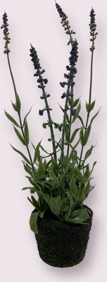 Myflowers b.v. Zijden kunstbloem Lavendel Blauw Lengte 45 centimeter